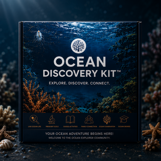 Ocean Discovery Kit™